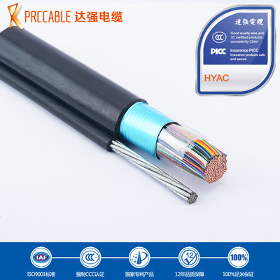 野外通信新标杆 HYAC 100×2×0.5防紫外线电缆助力企业集采高效升级